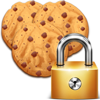 Nuova normativa 2014 sull’utilizzo dei cookie